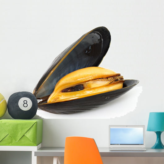 Mussel