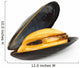 Mussel
