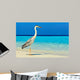 Bird Is Morning Beach Wall Mural