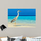 Bird Is Morning Beach Wall Mural