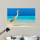 Bird Is Morning Beach Wall Mural