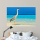 Bird Is Morning Beach Wall Mural