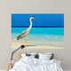 Bird Is Morning Beach Wall Mural