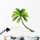 Palm Tree