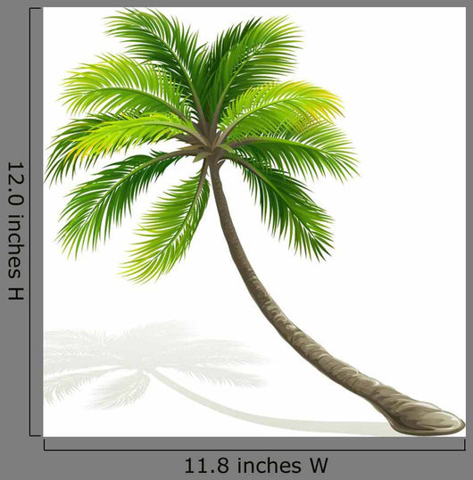 Palm Tree