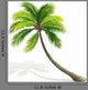 Palm Tree