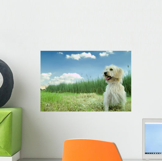 Dog in the Grass Wall Mural