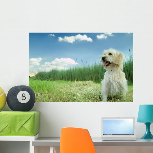 Dog in the Grass Wall Mural
