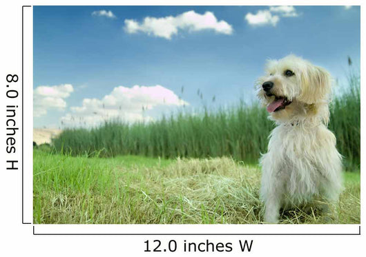 Dog in the Grass Wall Mural