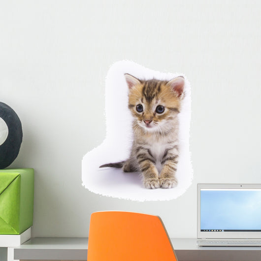 Kitten Wall Decal