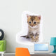 Kitten Wall Decal