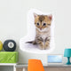 Kitten Wall Decal