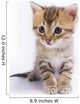 Kitten Wall Decal