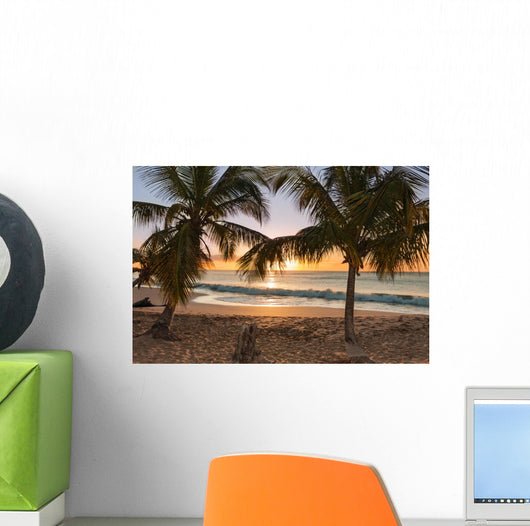 Sunset Beach Palm Trees