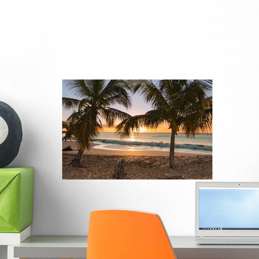 Sunset Beach Palm Trees