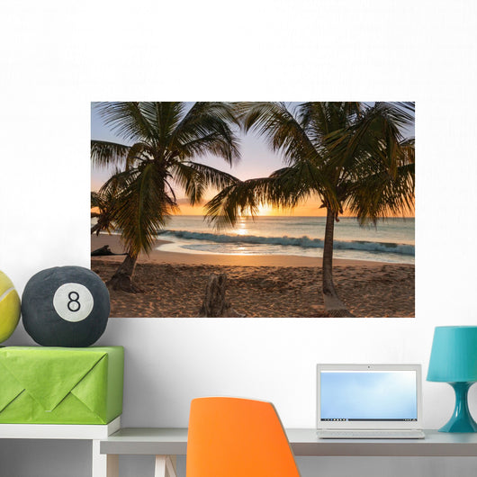 Sunset Beach Palm Trees