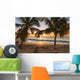Sunset Beach Palm Trees