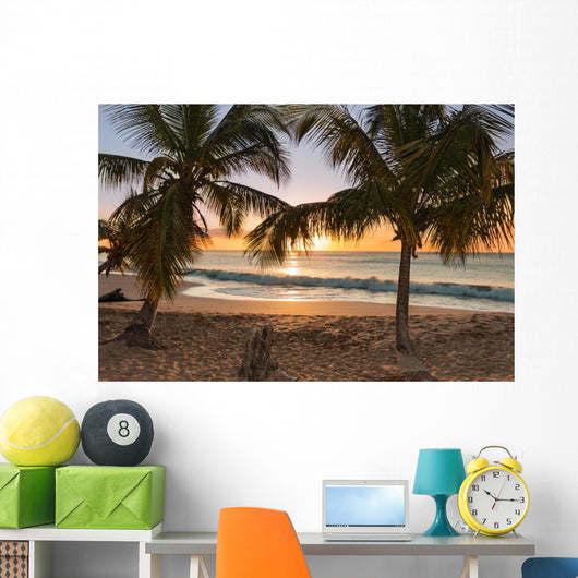 Sunset Beach Palm Trees