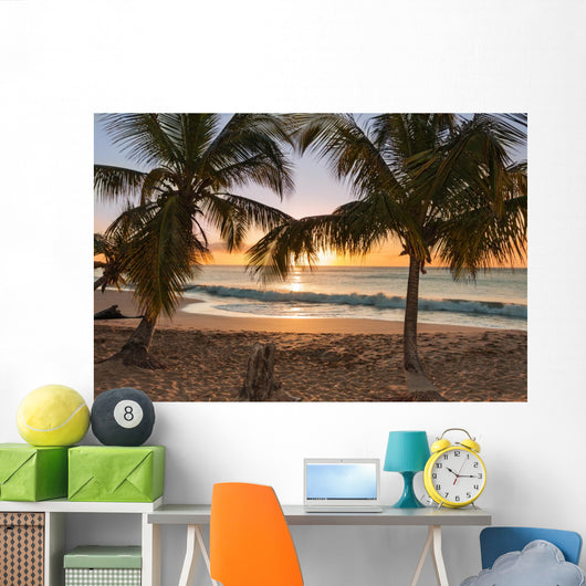 Sunset Beach Palm Trees
