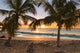 Sunset Beach Palm Trees