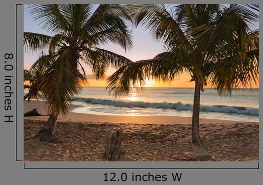 Sunset Beach Palm Trees