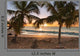Sunset Beach Palm Trees