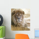 Lion Wall Mural