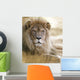 Lion Wall Mural