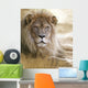 Lion Wall Mural