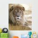 Lion Wall Mural
