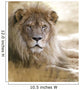 Lion Wall Mural