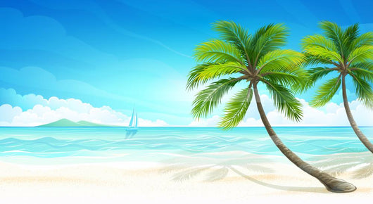 Tropical Beach Vector