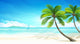 Tropical Beach Vector
