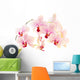 phalaenopsis Wall Decal
