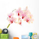 phalaenopsis Wall Decal