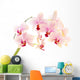 phalaenopsis Wall Decal