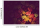 Colorful Roses Background Beautiful High Quality Wall Mural
