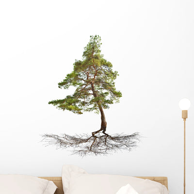 Green Single Pine with Wall Decal shown on a wall