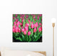 Tulips Wall Mural
