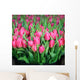 Tulips Wall Mural