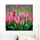 Tulips Wall Mural