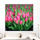 Tulips Wall Mural