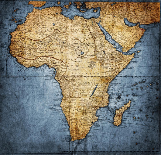 Vintage Map Africa Wall Mural
