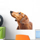 Dachshund Dog Wall Decal