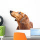 Dachshund Dog Wall Decal