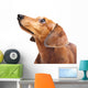 Dachshund Dog Wall Decal