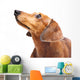 Dachshund Dog Wall Decal