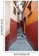 The Alley of the Kiss, Guanajuato (Mexico) Wall Mural