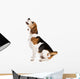 Dog Studio Wall Decal