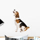Dog Studio Wall Decal